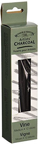 Winsor & Newton Artist Vine Charcoal Sticks,...