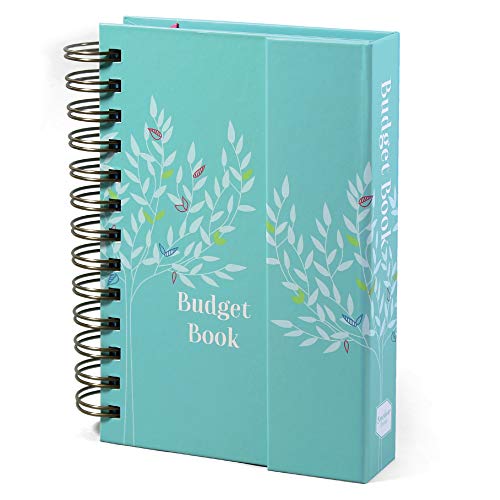 Boxclever Press Budget Book. Budget Planner with...